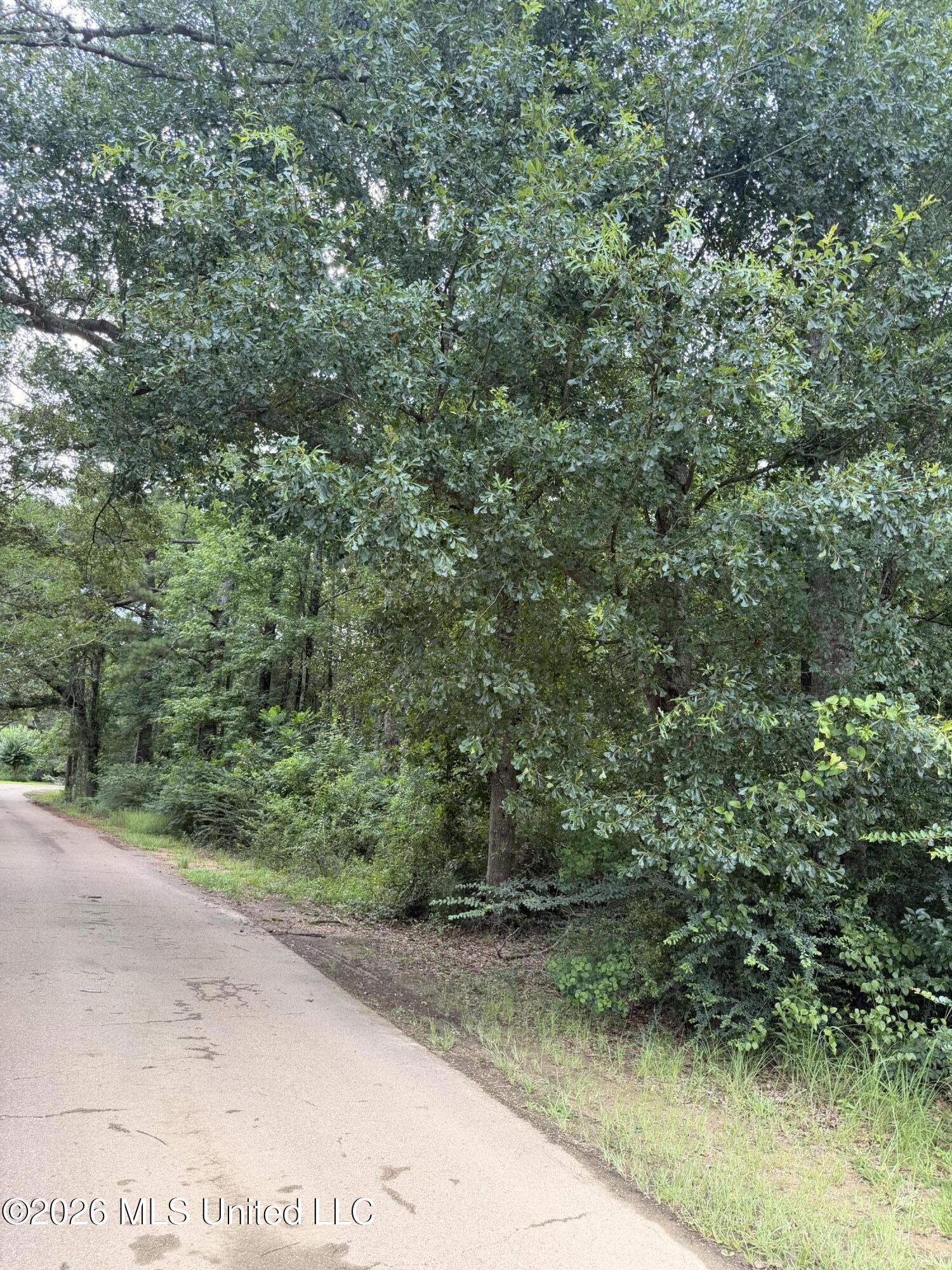 Cedar Ridge McComb, MS 39648 - Photo 3 of 12 IMG_4530