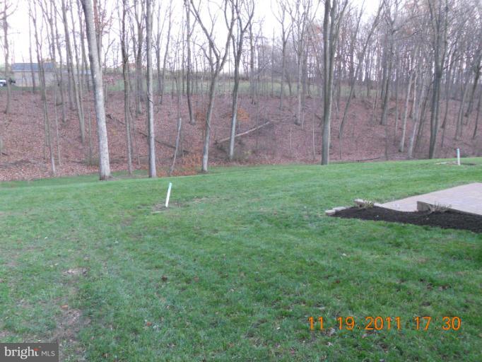 4101 Roop Road Mount Airy, MD 21771 - Photo 14 of 28 a view of a backyard with large trees
