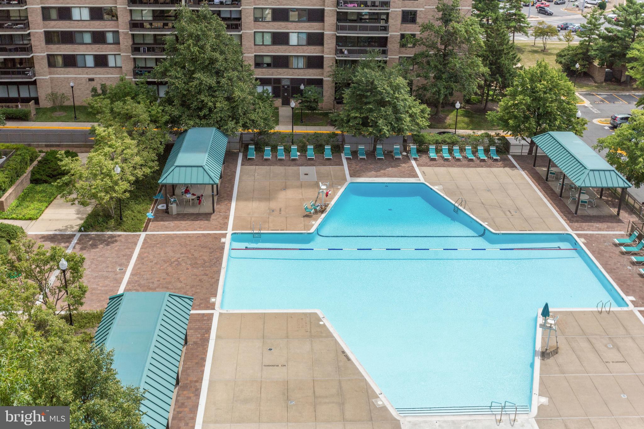 5505 Seminary Road, Unit 1215N Falls Church, VA 22041 - Photo 46 of 49 Pool