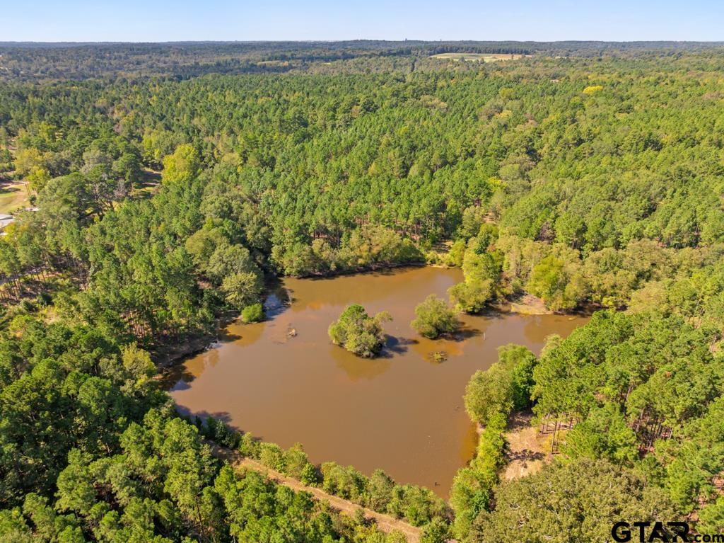 5379 County Road 385 Tyler, TX 75708 - Photo 12 of 44 Gallery Image 12