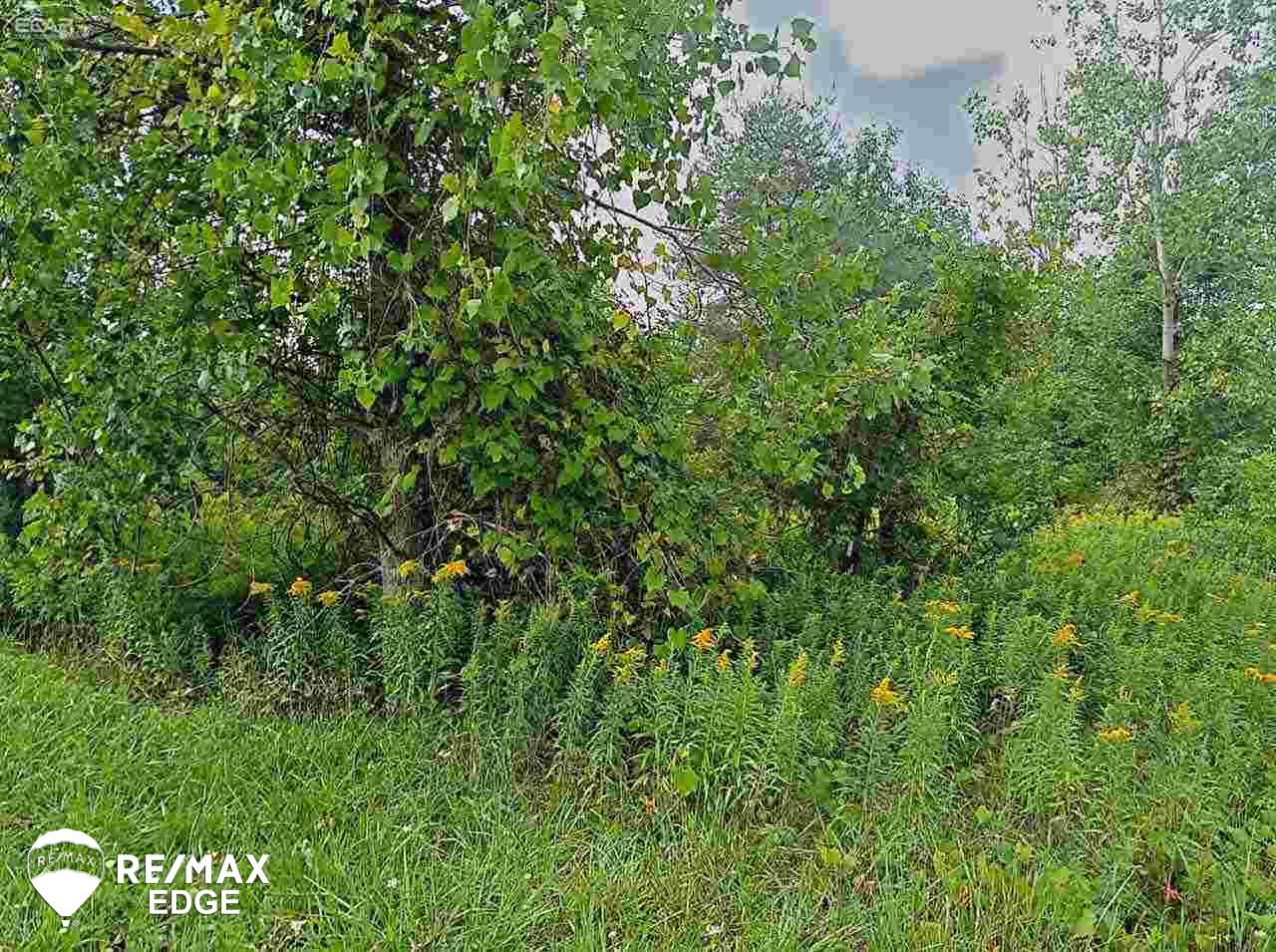 0 Webster Road Flushing, MI 48433 - Photo 1 of 2