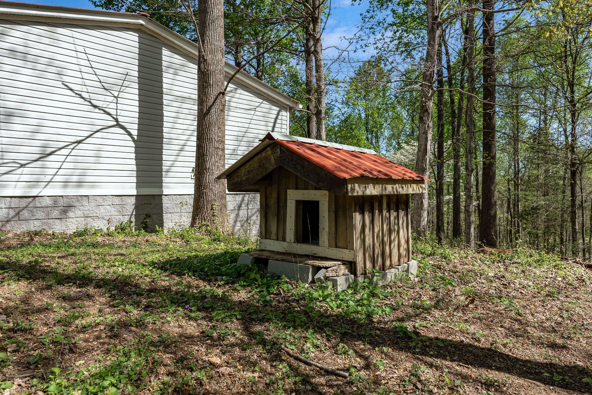 3787 Chestnut Ridge Road Santa Fe, TN 38482 - Photo 8 of 32