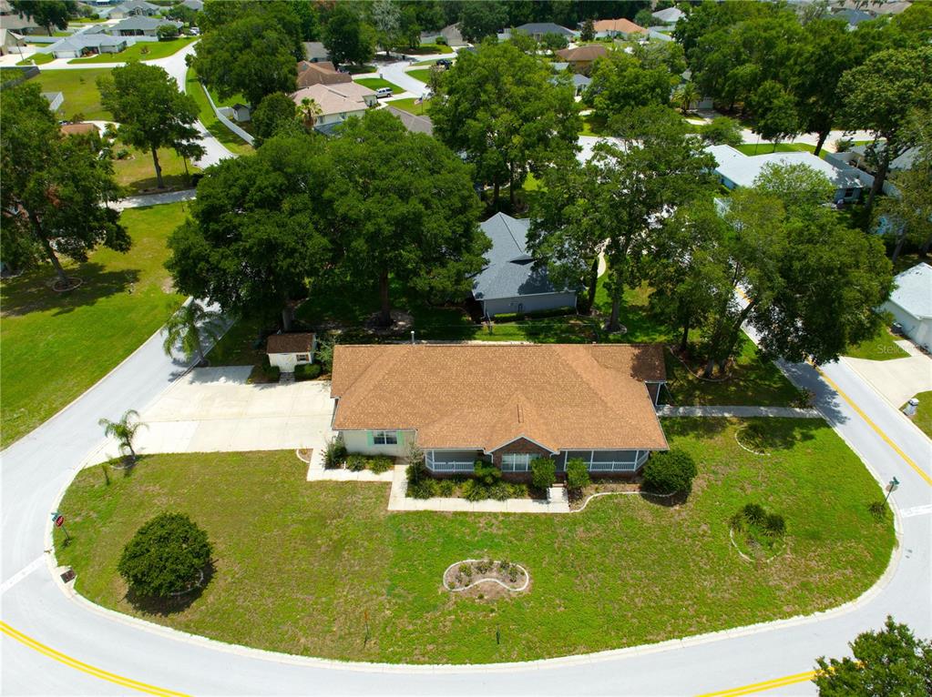 6551 Southeast 11th Loop Ocala, FL 34472 - Photo 44 of 46 a view of a tree with a yard