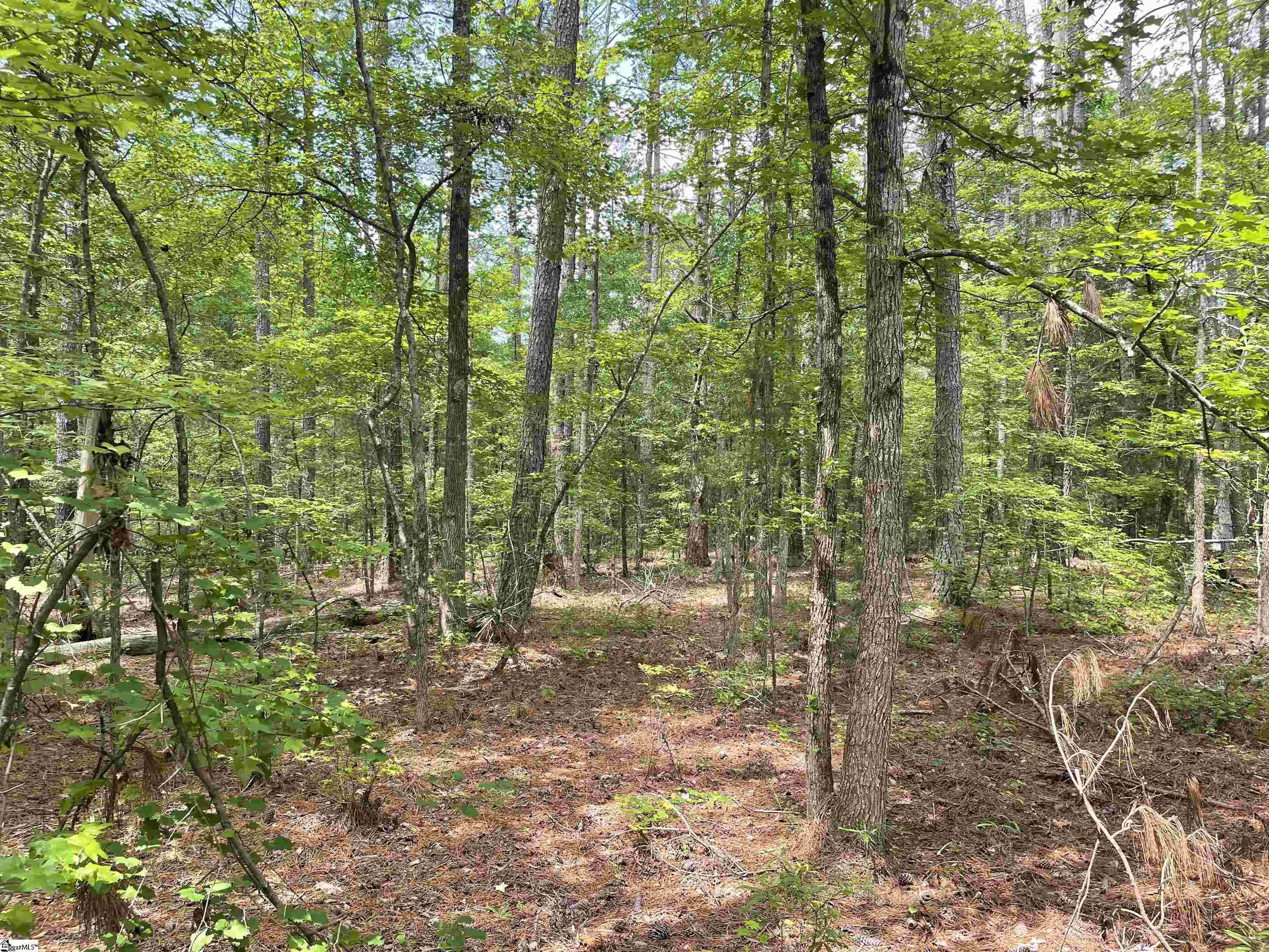 4 Clatworthy Road, Unit LOT 4 Honea Path, SC 29654 - Photo 2 of 23
