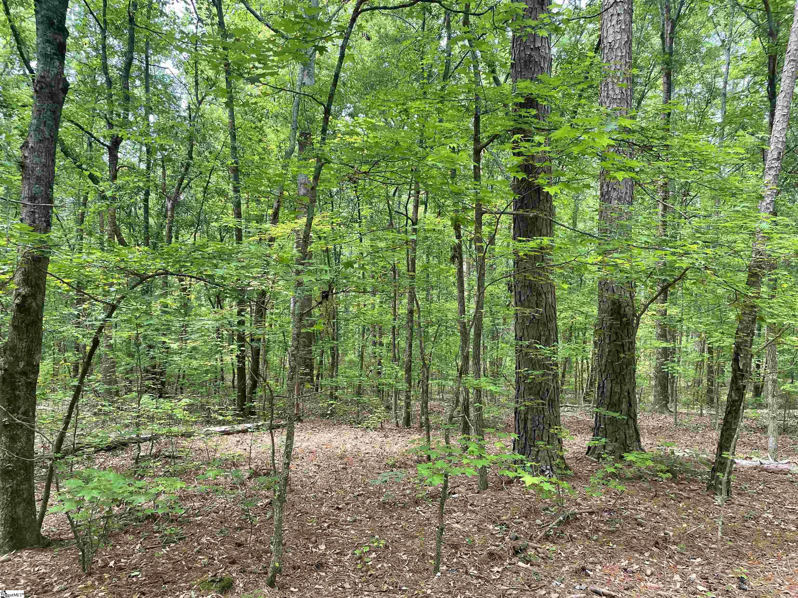 4 Clatworthy Road, Unit LOT 4 Honea Path, SC 29654 - Photo 4 of 23