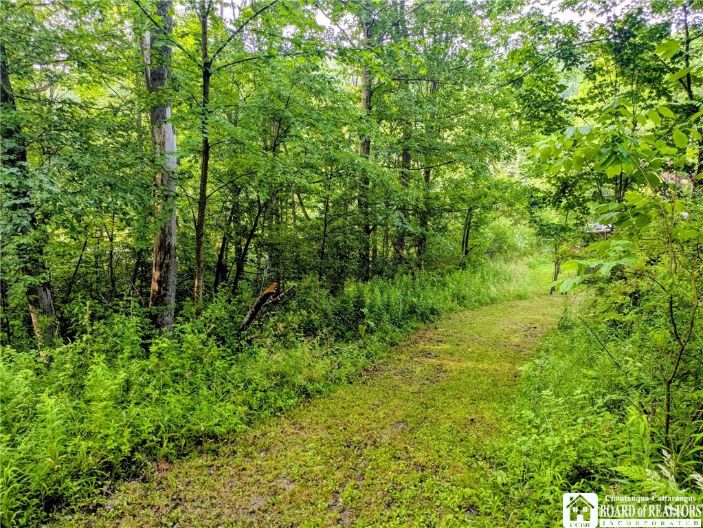 1186 28th Creek Road Ellington, NY 14747 - Photo 9 of 22