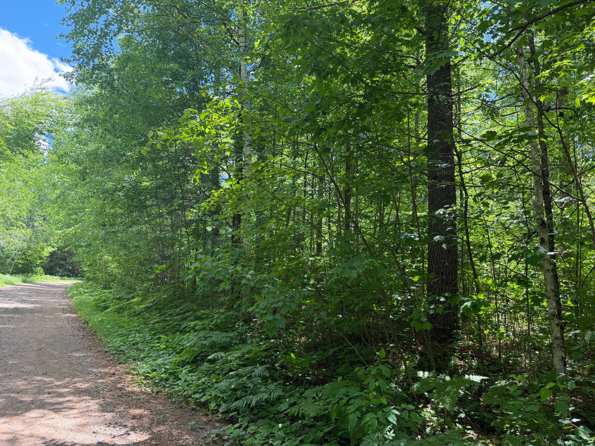 Lot 30 Maplestone Road Minocqua, WI 54548 - Photo 1 of 6 Gallery Image 1