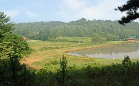 Lot22 Watkins Road Blue Ridge, GA 30513 - Photo 1 of 1 Main View