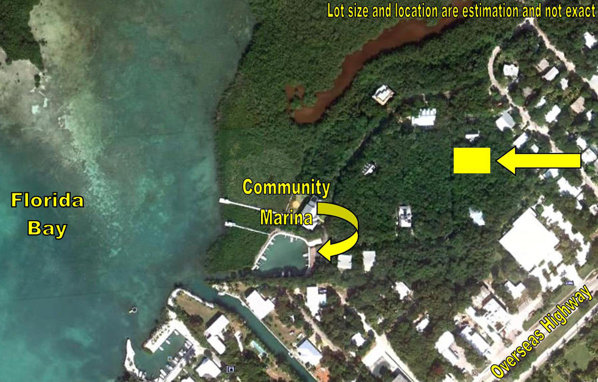 Satellite View
