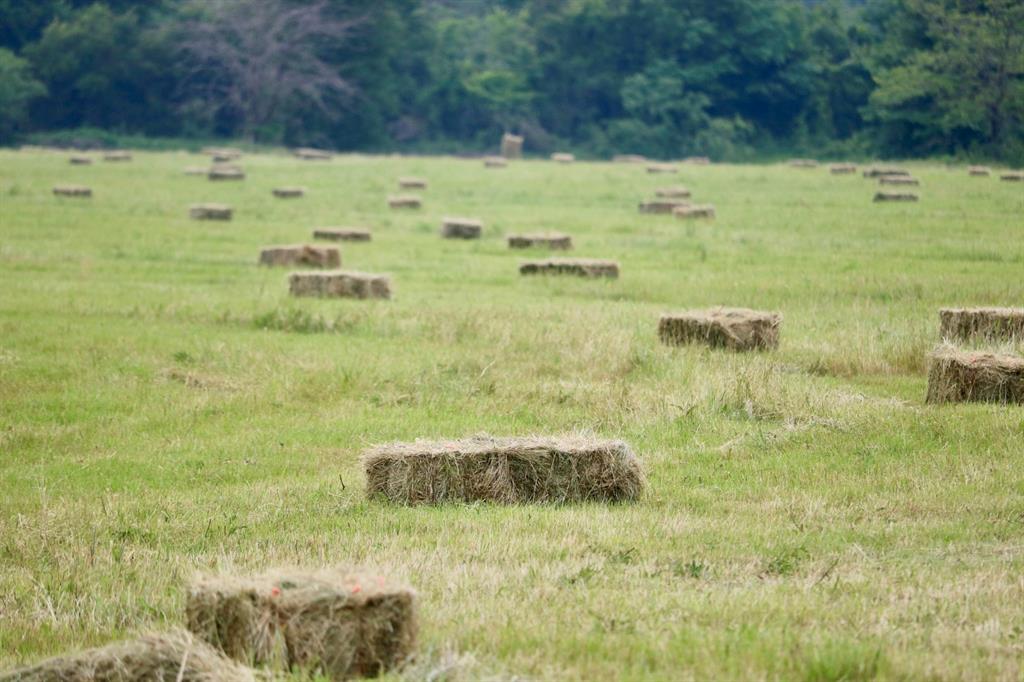 1965 Fm-933 Aquilla, TX 76622 - Photo 11 of 23 a view of a lake view