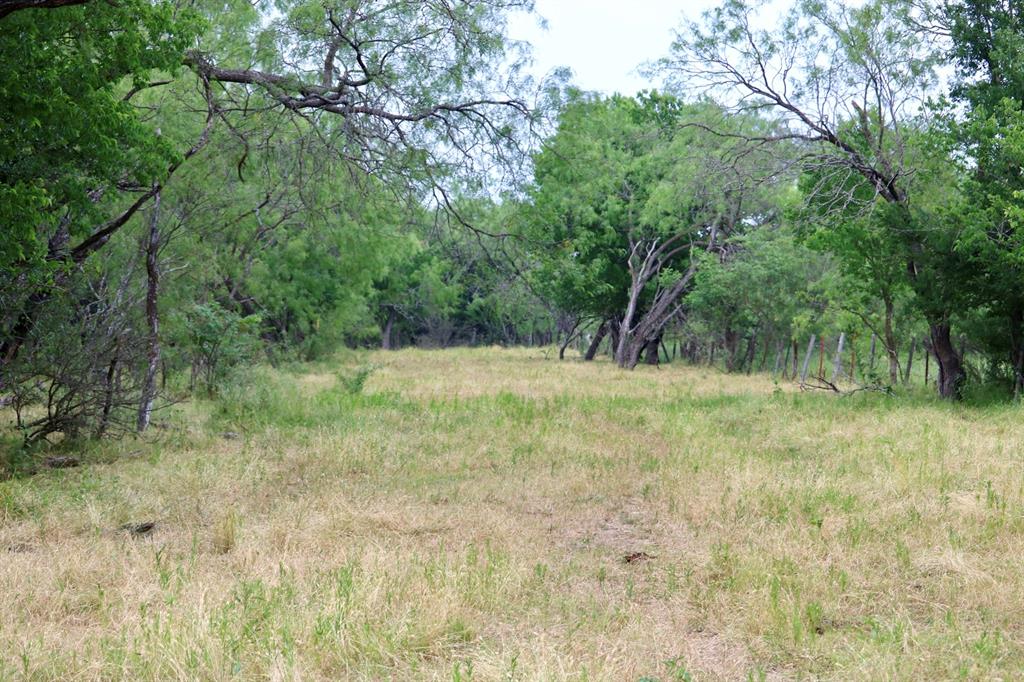 1965 Fm-933 Aquilla, TX 76622 - Photo 14 of 23 a view of outdoor space and yard