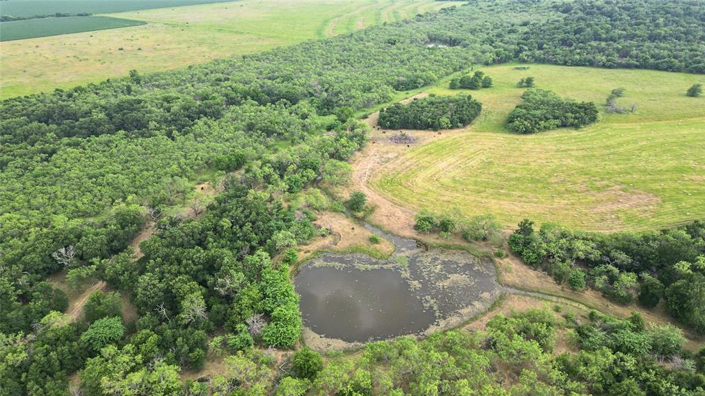 1965 Fm-933 Aquilla, TX 76622 - Photo 18 of 23 a view of a swimming pool with a yard and large trees