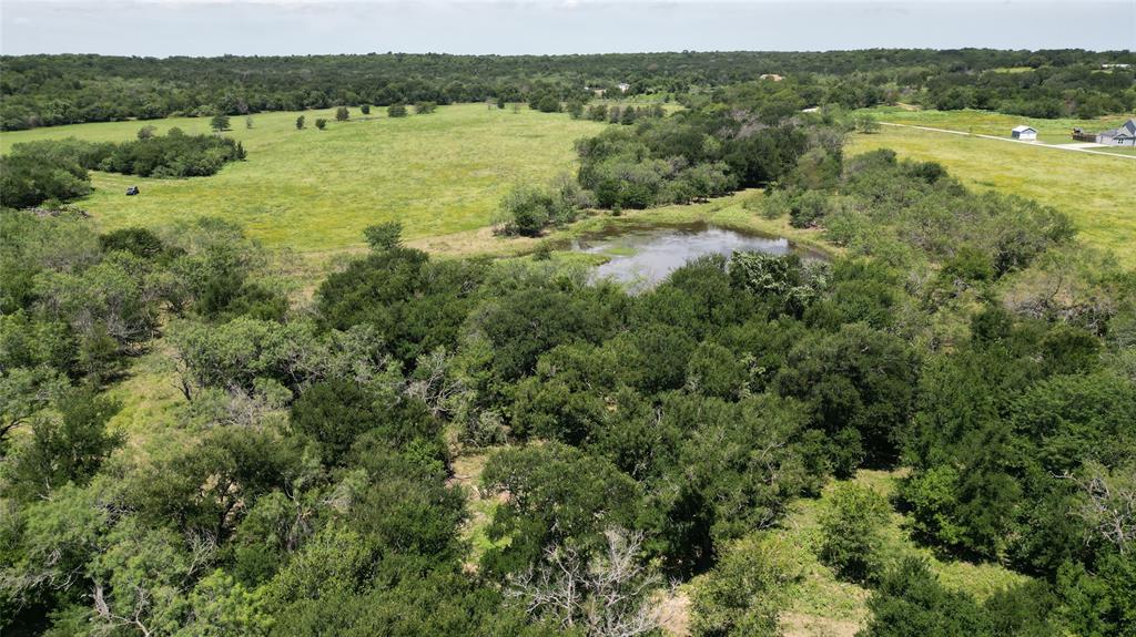 1965 Fm-933 Aquilla, TX 76622 - Photo 22 of 23 a view of a lake with green field and mountains