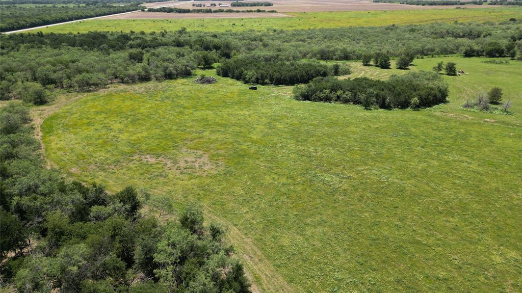 1965 Fm-933 Aquilla, TX 76622 - Photo 23 of 23 a view of a big yard with plants and large trees