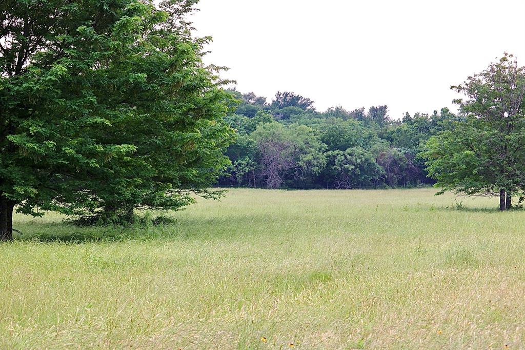 1965 Fm-933 Aquilla, TX 76622 - Photo 8 of 23 a view of an outdoor space and a yard