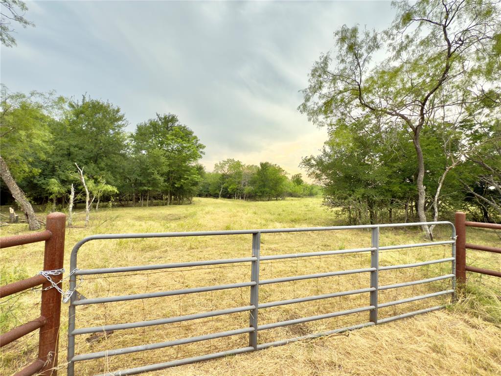 1965 Fm-933 Aquilla, TX 76622 - Photo 9 of 23 a view of an indoor swimming pool and trees in the background