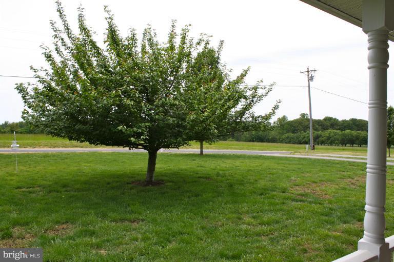 1950 Lowery Road Huntingtown, MD 20639 - Photo 21 of 28 a view of a garden with a tree