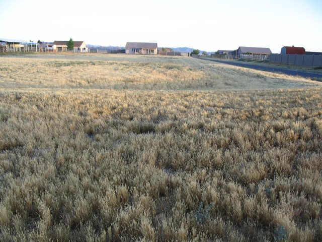 25325 West Riverside Street, Unit 94 Buckeye, AZ 85326 - Photo 1 of 3 Primary Photo