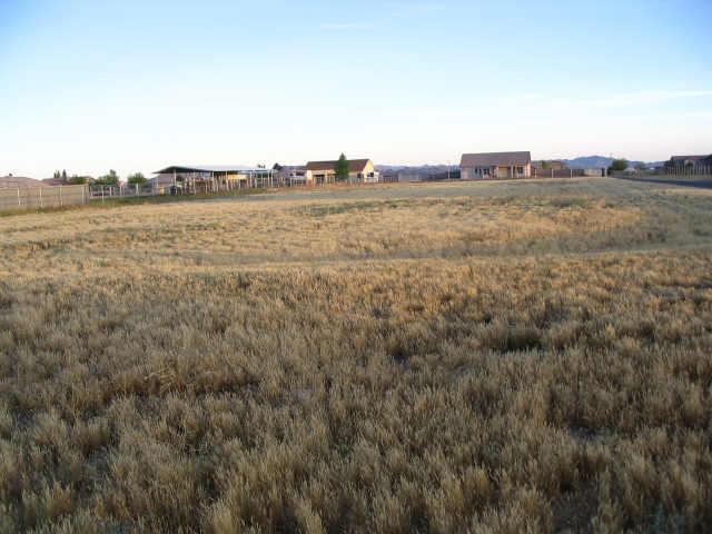 25325 West Riverside Street, Unit 94 Buckeye, AZ 85326 - Photo 3 of 3 Additional Photo