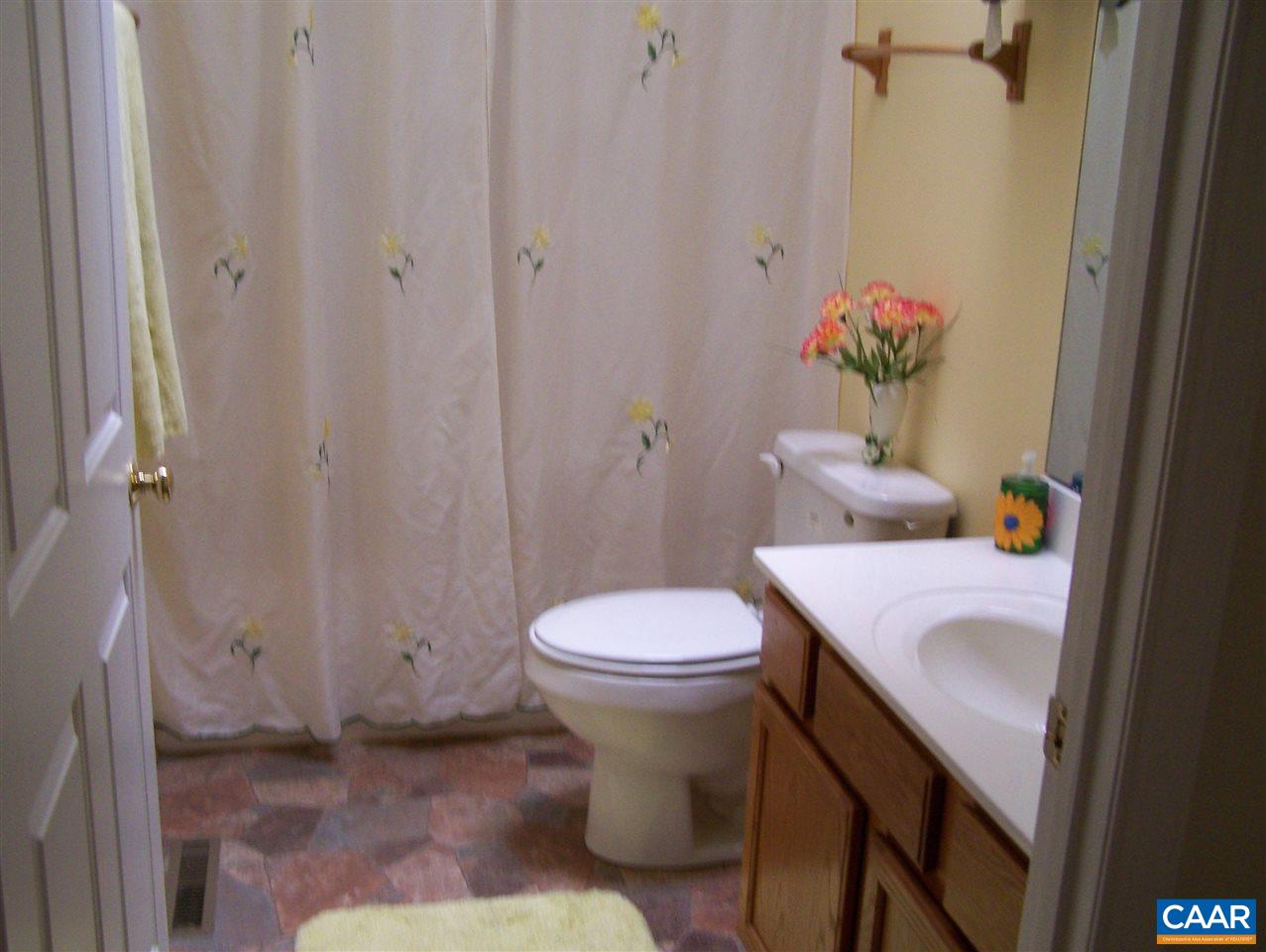 19 Deer Path Road Palmyra, VA 22963 - Photo 29 of 50 a bathroom with a sink toilet and shower