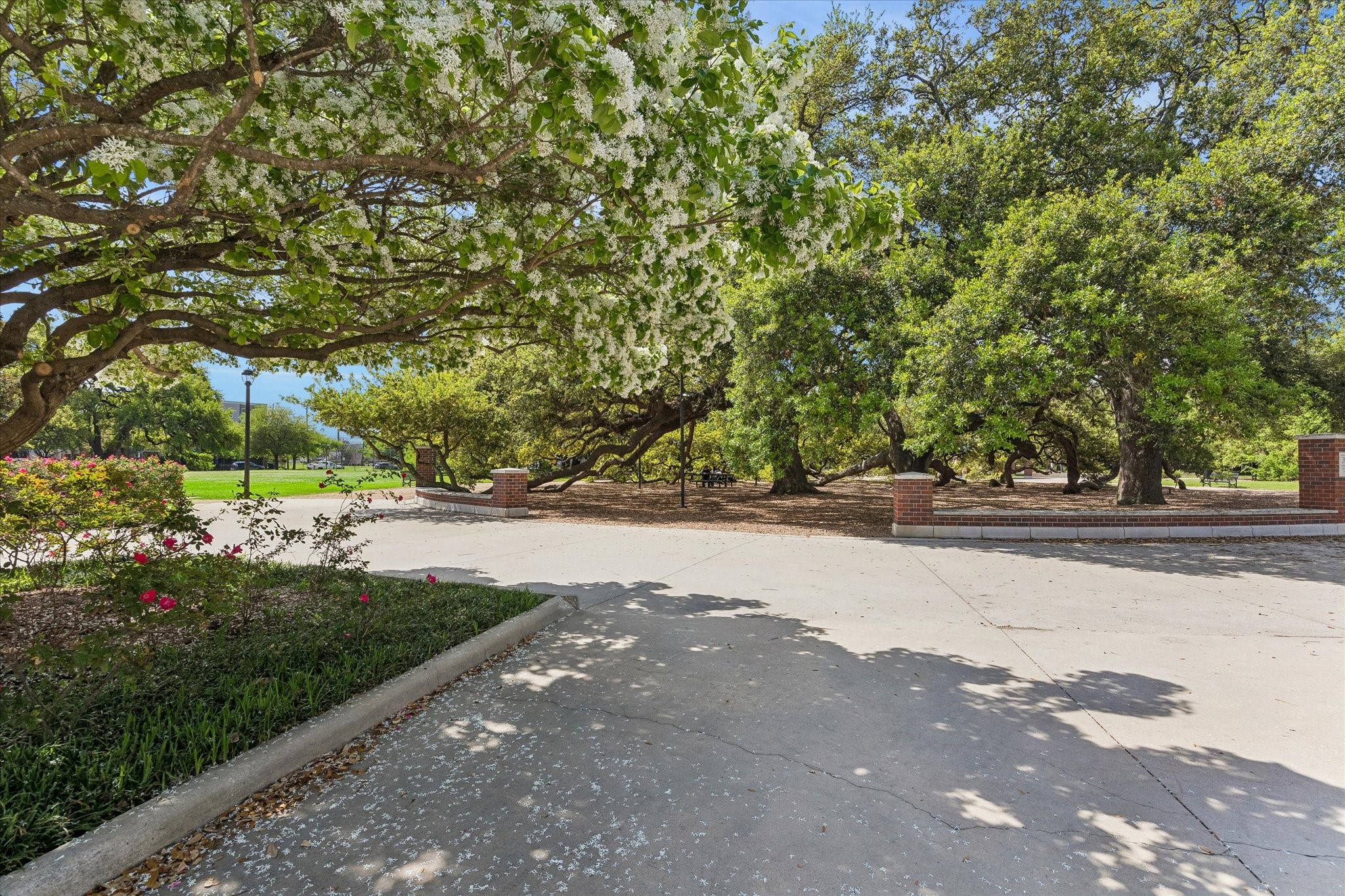 2915 Jackson Street Houston, TX 77004 - Photo 23 of 23 a view of yard with green space