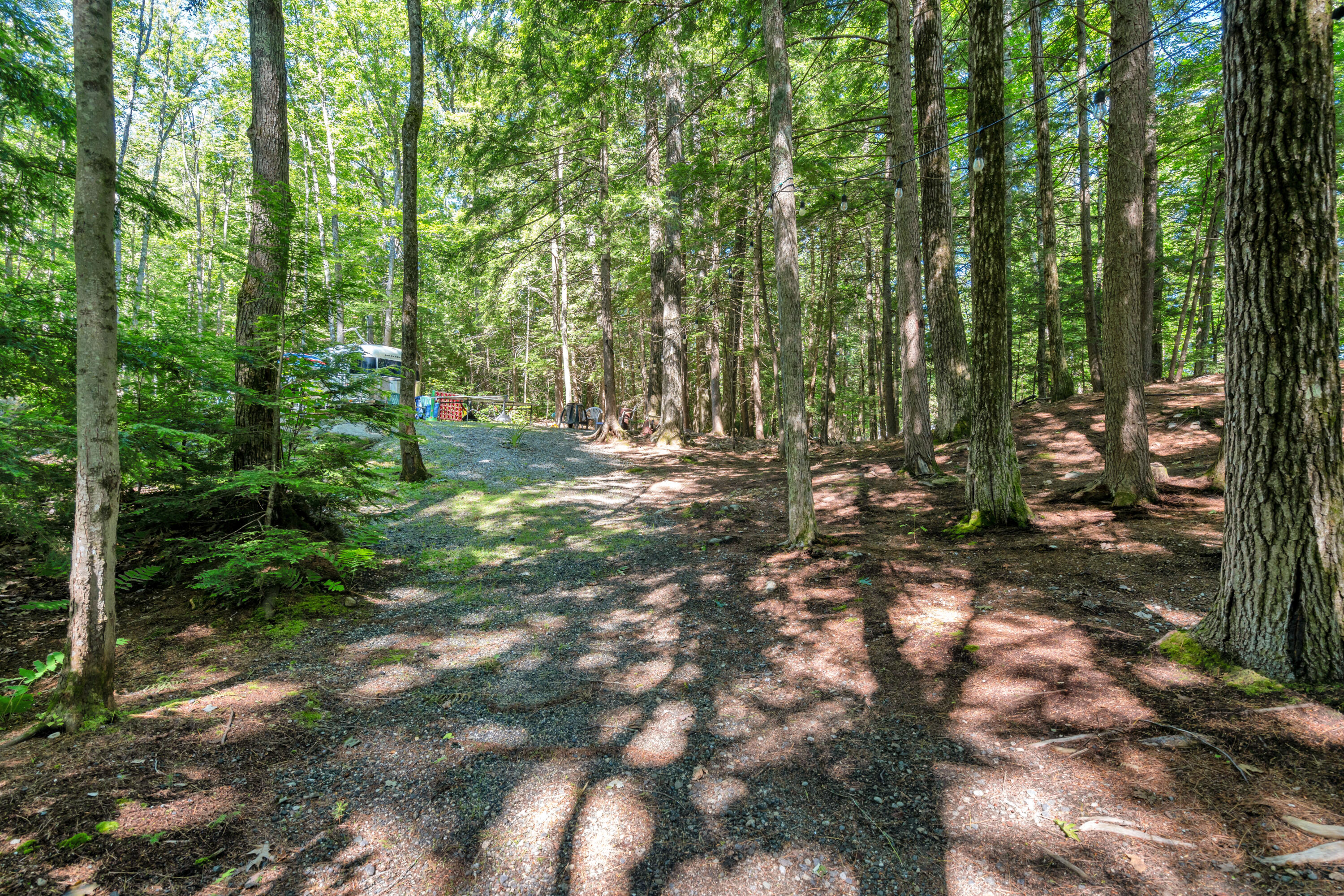0 Stevens Cove Road Bridgton, ME 04009 - Photo 26 of 39 DSC09666