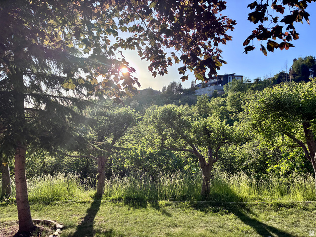 1903 Ridgehollow Drive Bountiful, UT 84010 - Photo 24 of 24 Manicured grassy area featuring mature trees and hillside foliage