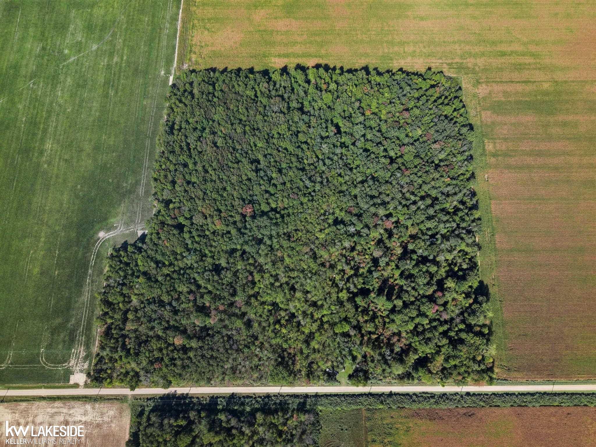 0 East Eddy Road Sandusky, MI 48471 - Photo 11 of 43
