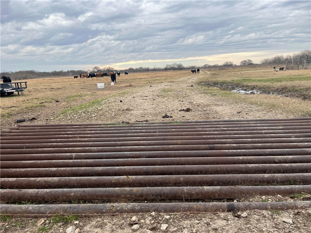 18025 Cr Sw 4310 Road Southwest Dawson, TX 76639 - Photo 19 of 39