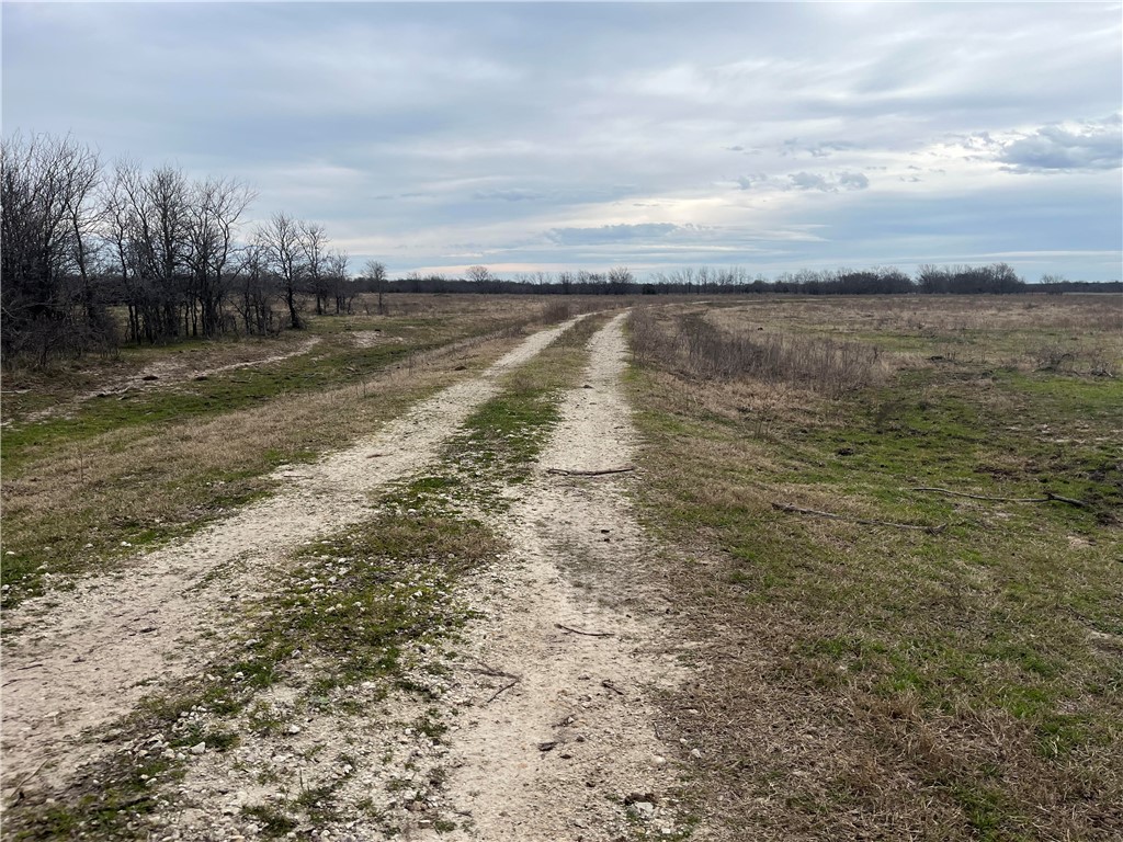 18025 Cr Sw 4310 Road Southwest Dawson, TX 76639 - Photo 20 of 39