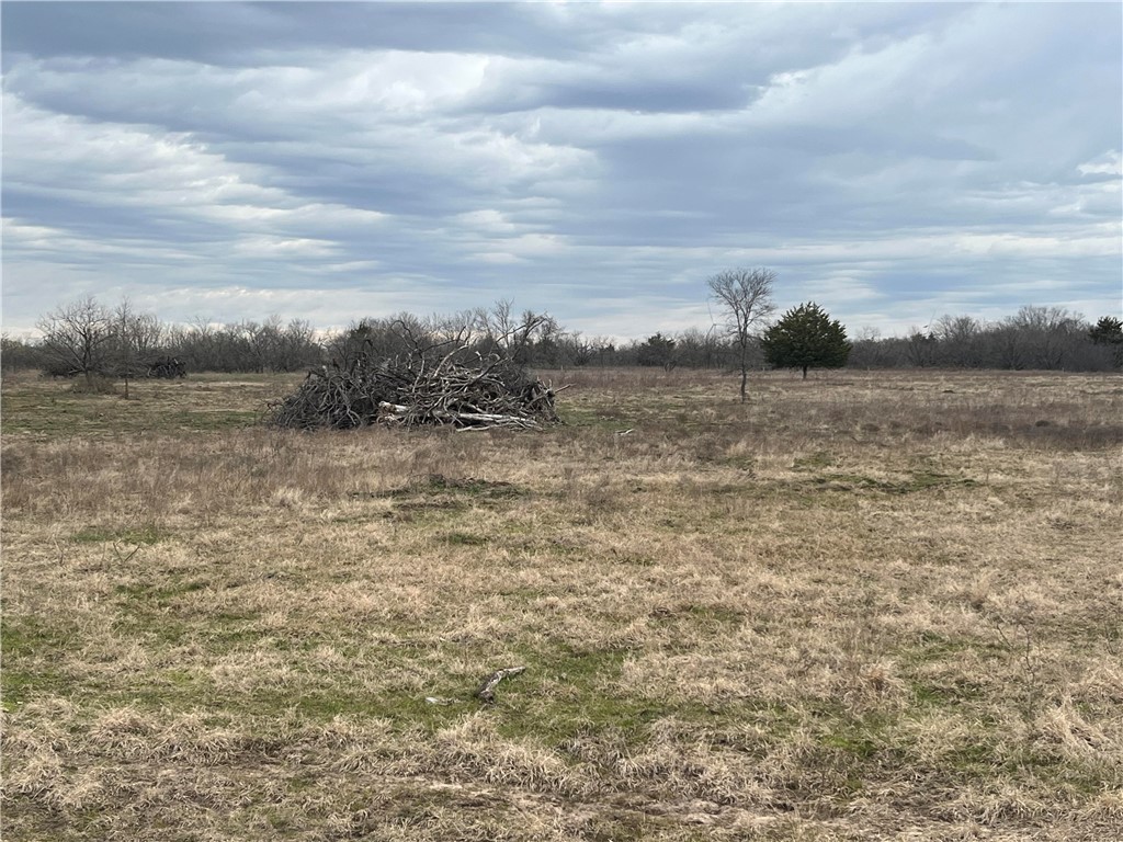 18025 Cr Sw 4310 Road Southwest Dawson, TX 76639 - Photo 21 of 39