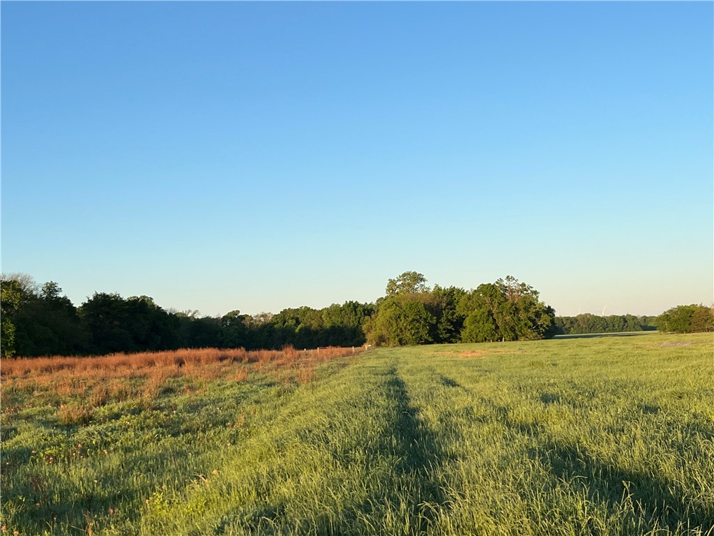 18025 Cr Sw 4310 Road Southwest Dawson, TX 76639 - Photo 27 of 39