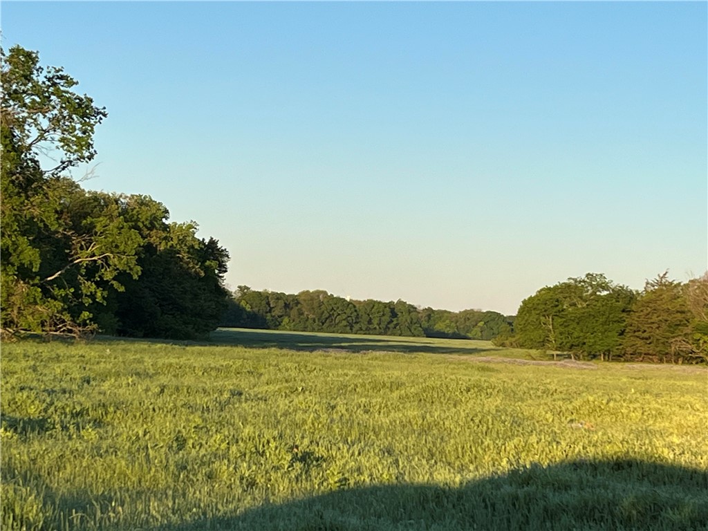 18025 Cr Sw 4310 Road Southwest Dawson, TX 76639 - Photo 28 of 39