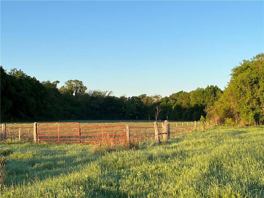 18025 Cr Sw 4310 Road Southwest Dawson, TX 76639 - Photo 29 of 39