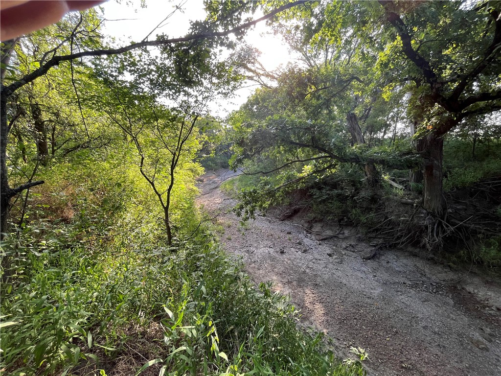18025 Cr Sw 4310 Road Southwest Dawson, TX 76639 - Photo 35 of 39