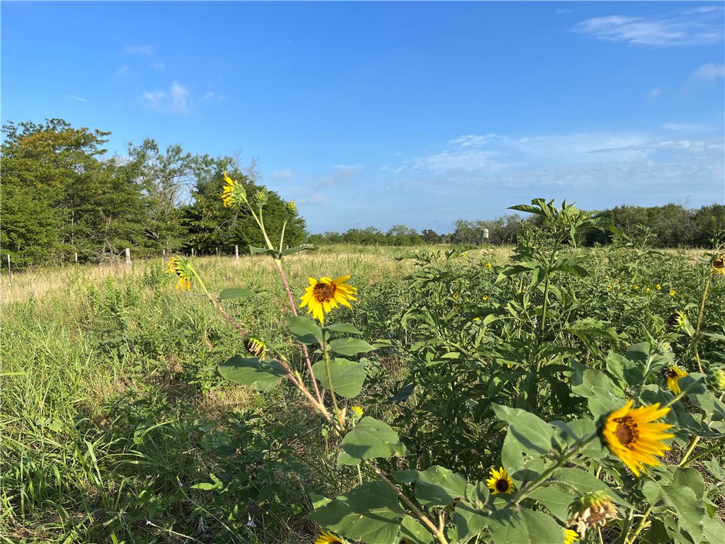 18025 Cr Sw 4310 Road Southwest Dawson, TX 76639 - Photo 36 of 39