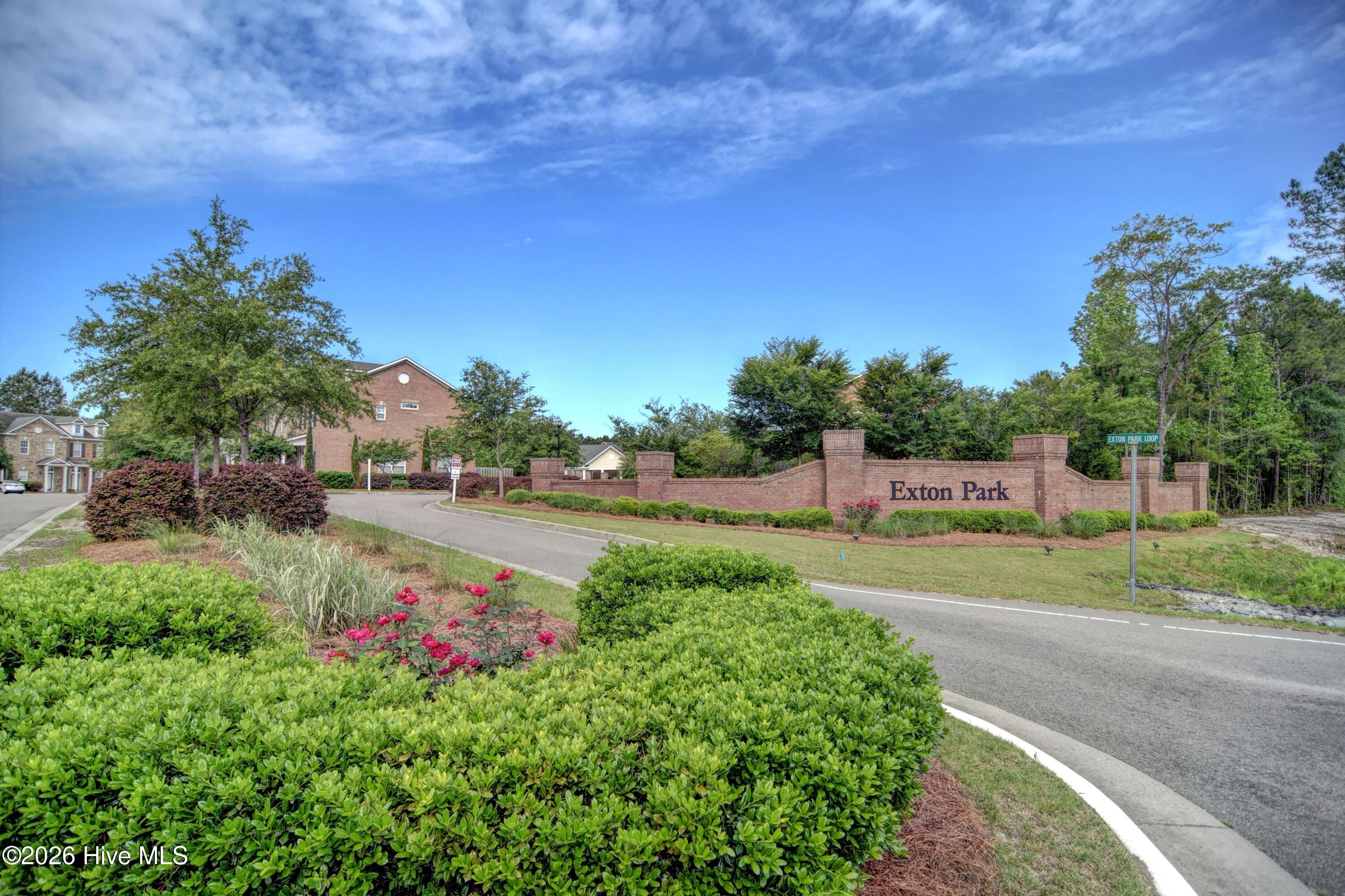 4816 Exton Park Loop Castle Hayne, NC 28429 - Photo 26 of 31