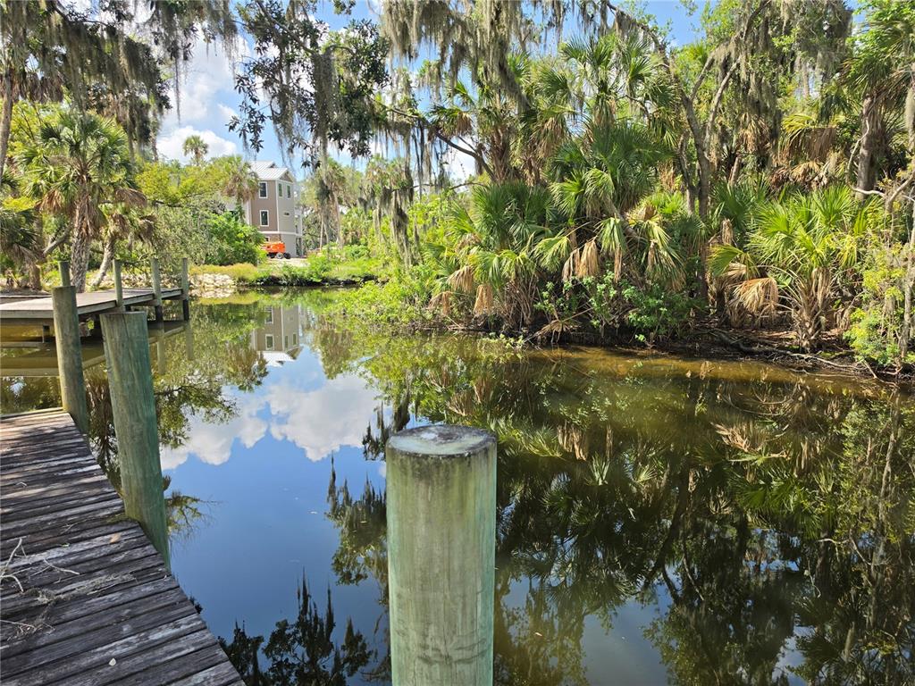 8331 Alafia Pointe Drive Riverview, FL 33578 - Photo 17 of 24