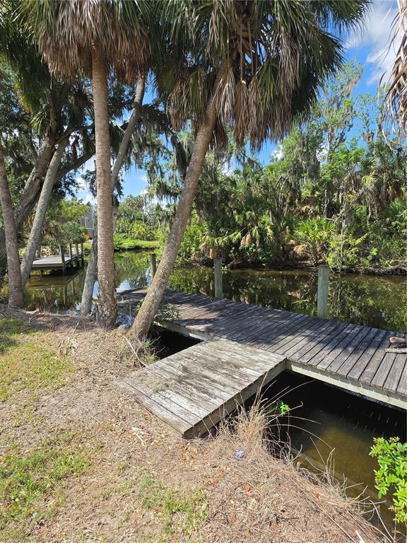 8331 Alafia Pointe Drive Riverview, FL 33578 - Photo 19 of 24