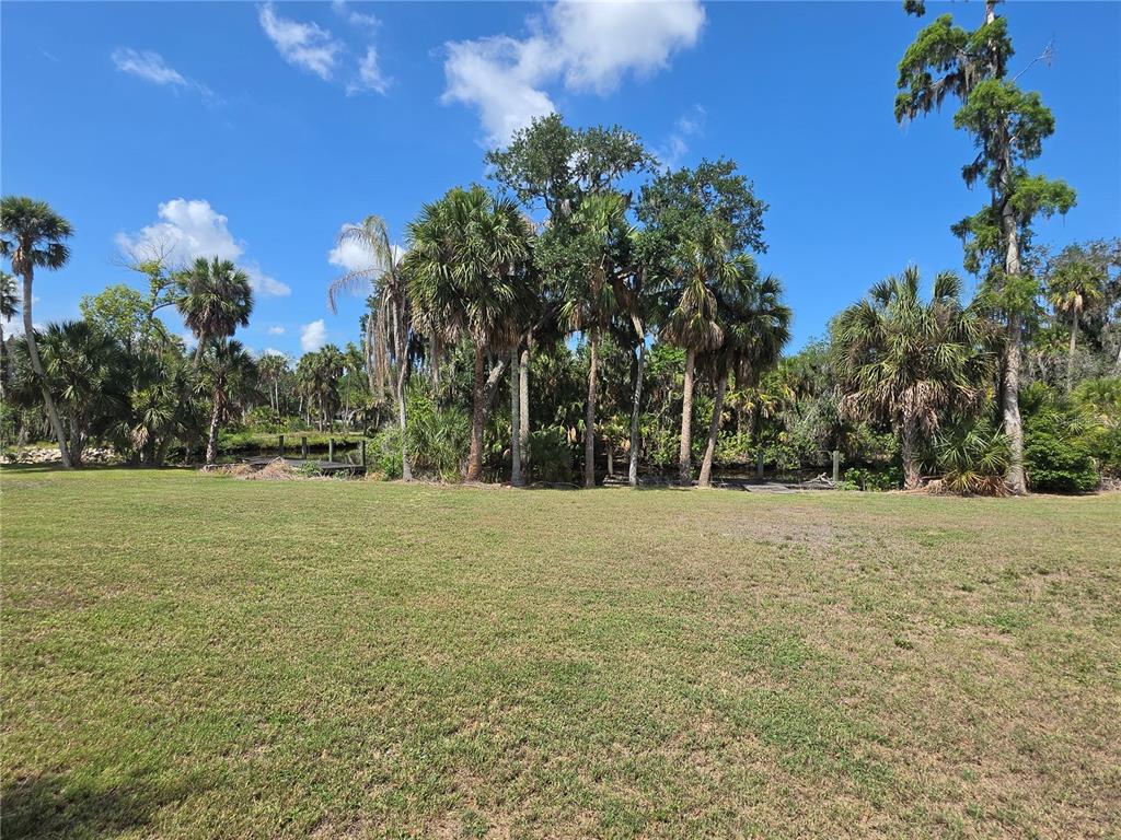8331 Alafia Pointe Drive Riverview, FL 33578 - Photo 20 of 24