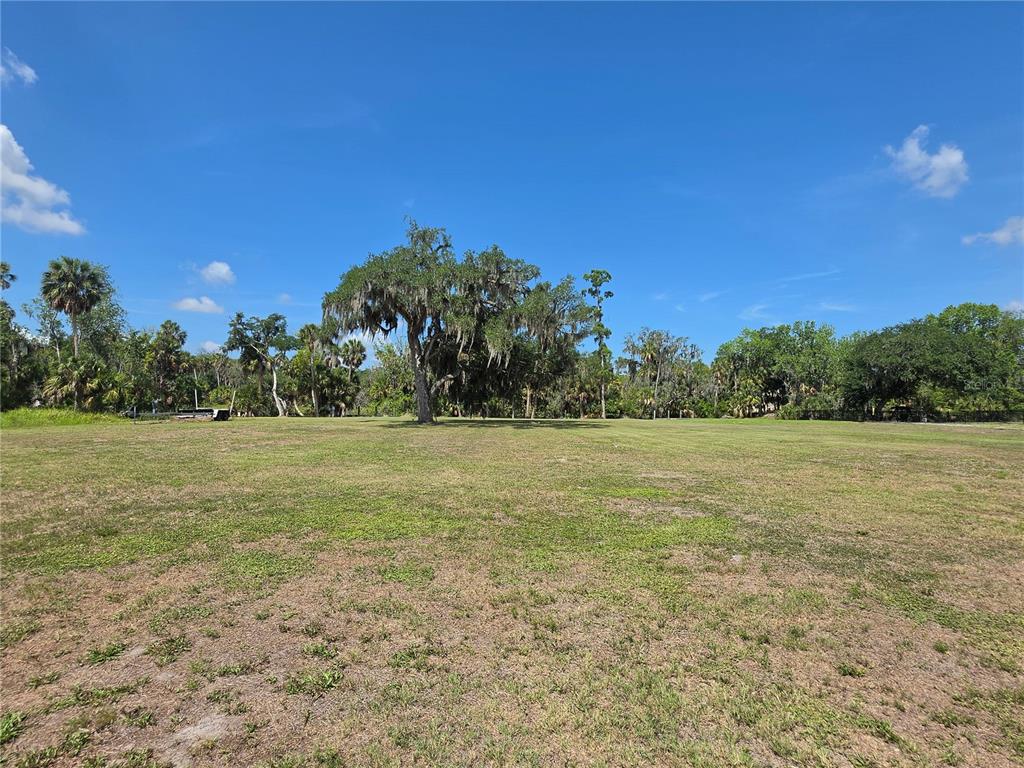 8331 Alafia Pointe Drive Riverview, FL 33578 - Photo 21 of 24