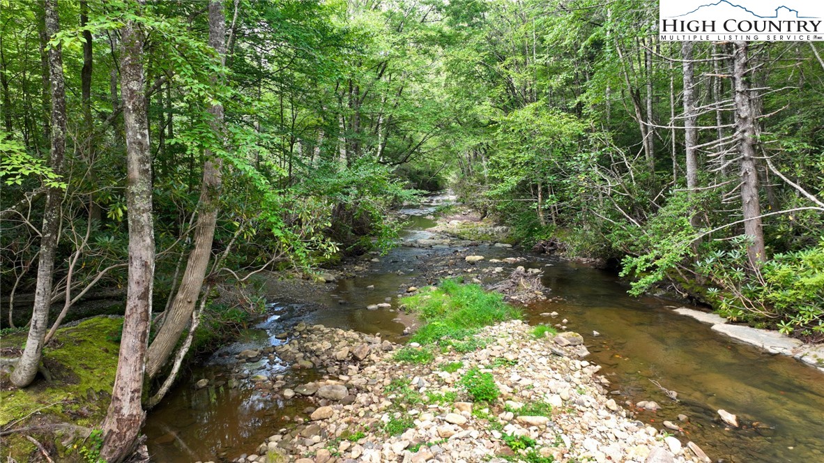 505 Tanglewood Cemetery Road Linville, NC 28646 - Photo 33 of 47 a backyard of a house with lots of green space