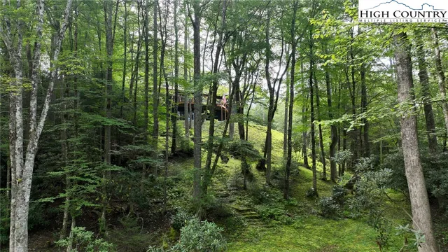 a view of a pathway both side of yard