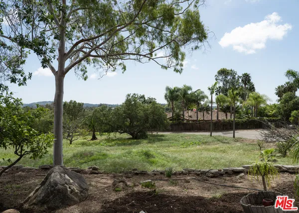 a view of a tree in a yard
