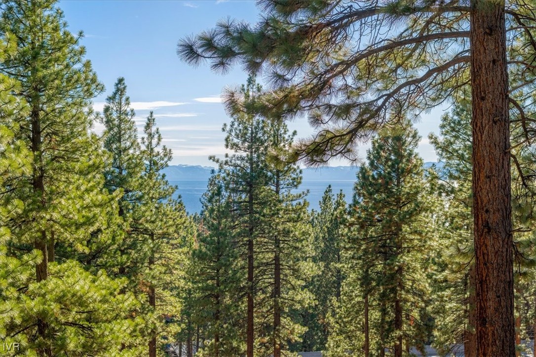 701 Tyner Way Incline Village, NV 89451 - Photo 13 of 49