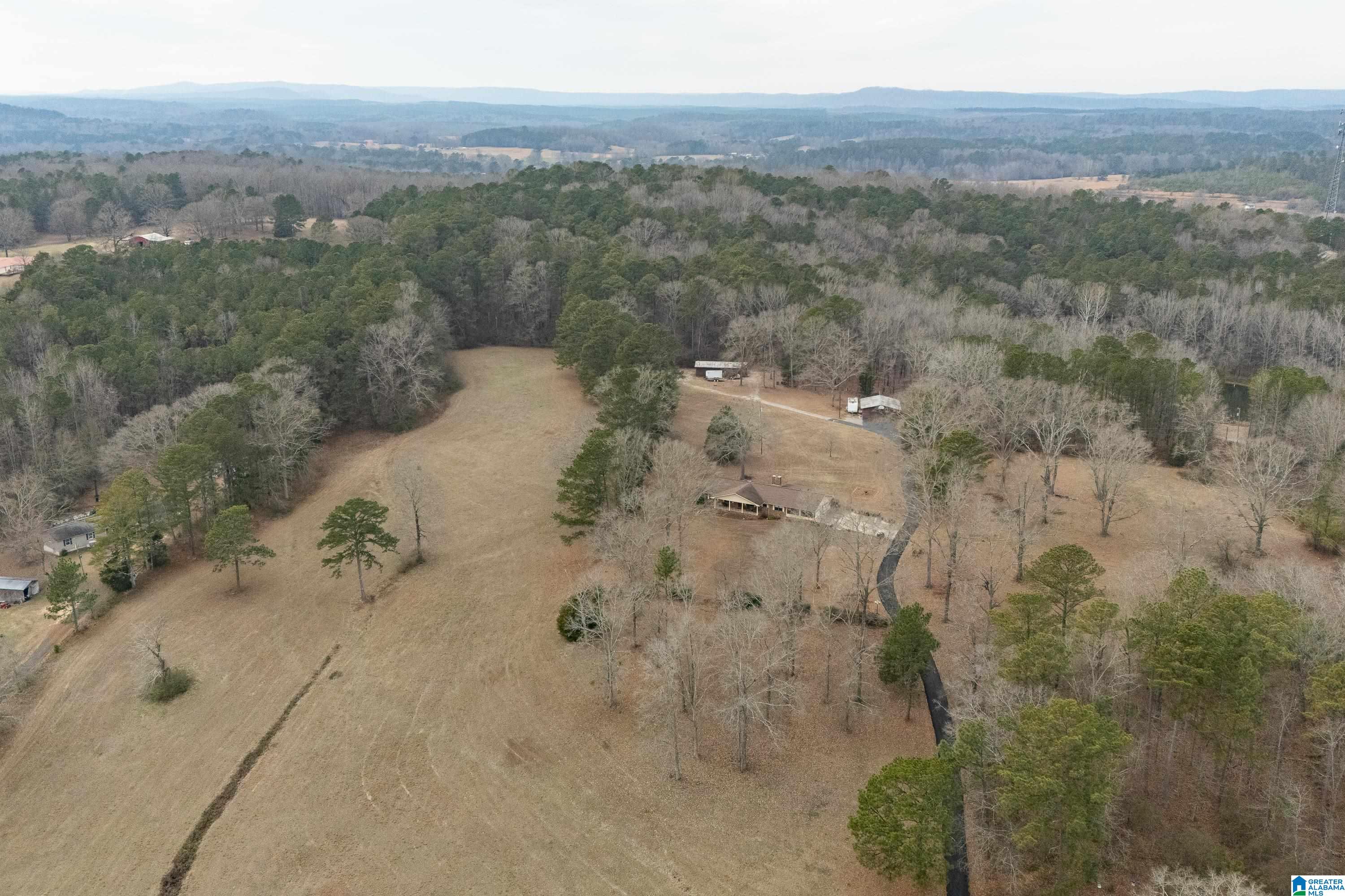 4175 Logan Martin Dam Road Cropwell, AL 35054 - Photo 44 of 47