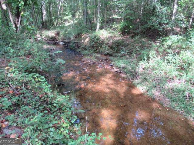 101 Winding Road, Unit LOT 6 Bowdon, GA 30108 - Photo 3 of 13