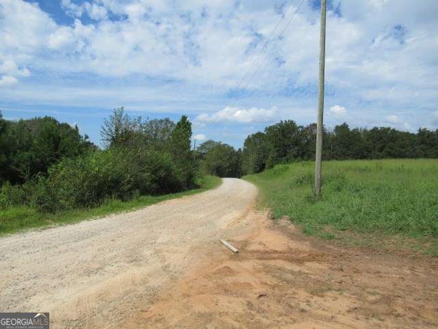 101 Winding Road, Unit LOT 6 Bowdon, GA 30108 - Photo 5 of 13