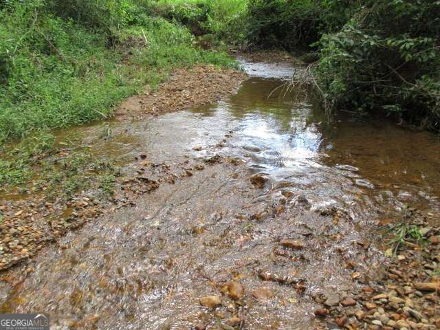 101 Winding Road, Unit LOT 6 Bowdon, GA 30108 - Photo 10 of 13