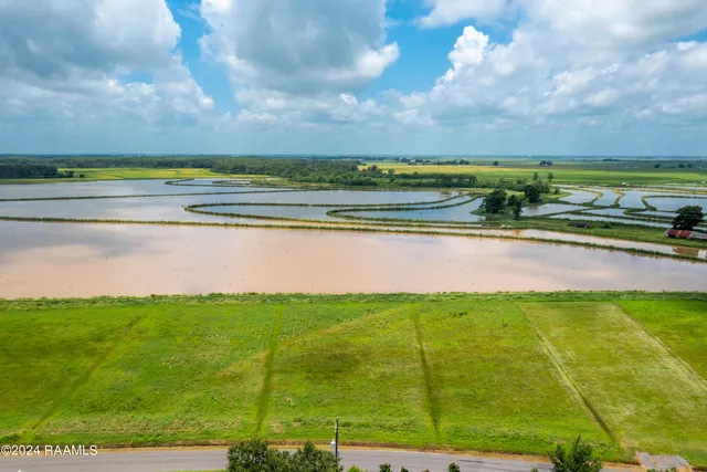 $27,900 | Lot 2 Morgan Shore's Road, Lake Arthur, LA 70549